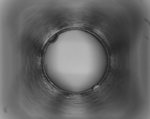 X0000101661260200807241410