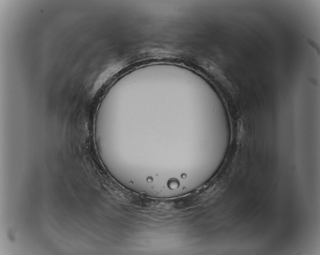 X0000101661261200807241410