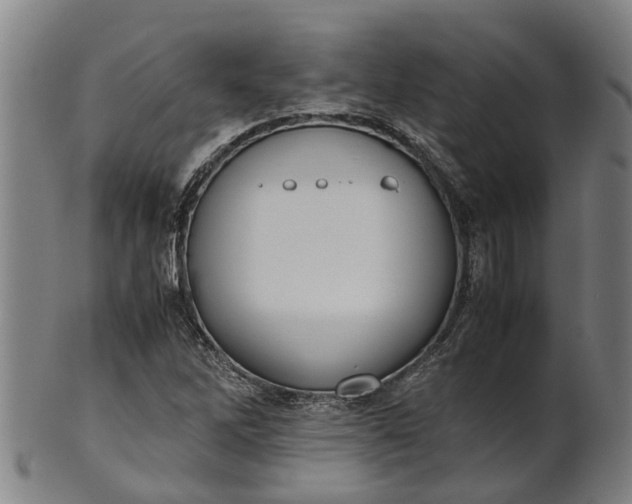 X0000101661262200807241410