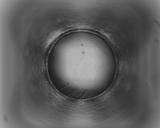 X0000101661263200807241410