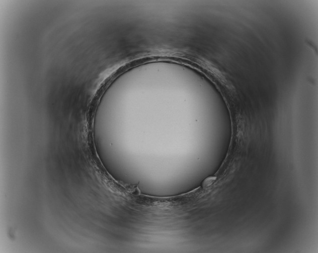 X0000101661264200807241410