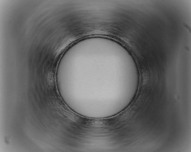 X0000101661266200807241410