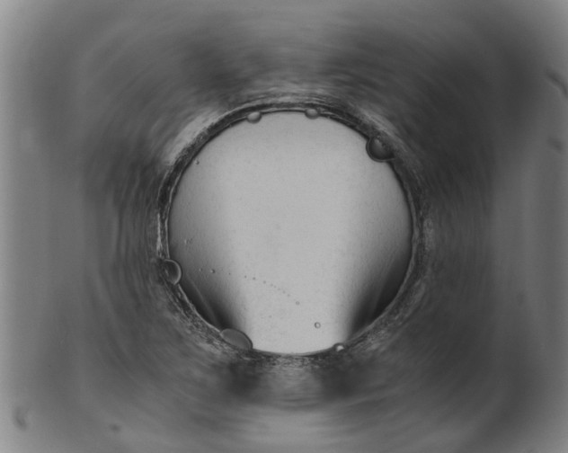 X0000101661267200807241410