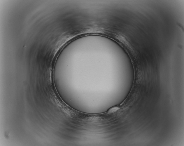 X0000101661268200807241410