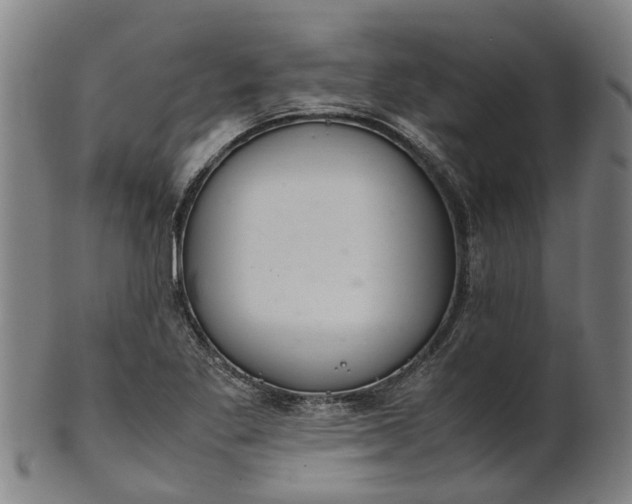 X0000101661269200807241410