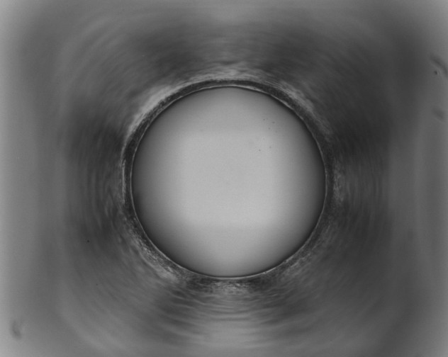 X0000101661270200807241410