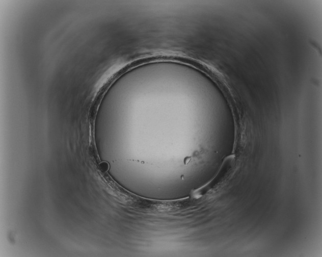 X0000101661271200807241410