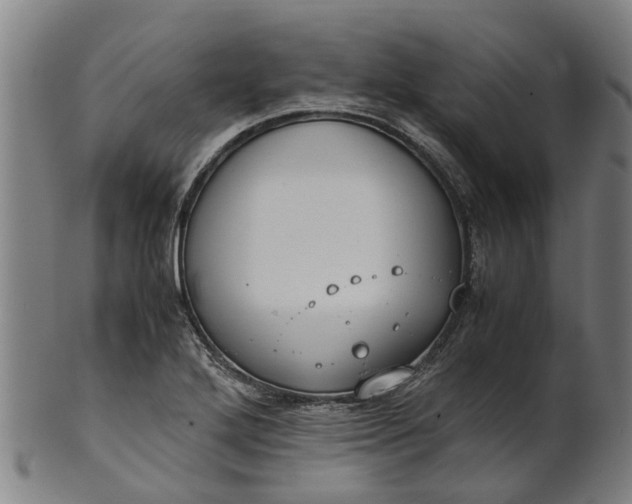 X0000101661272200807241410