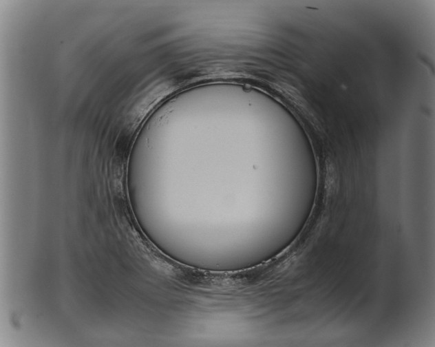 X0000101661273200807241410