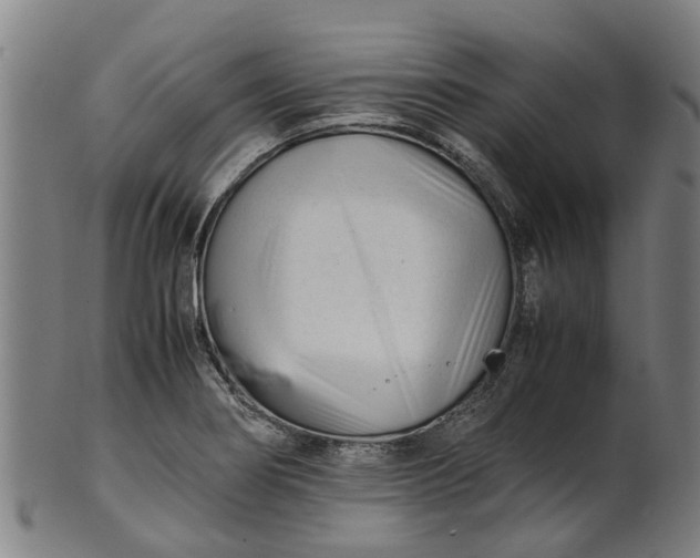 X0000101661274200807241409