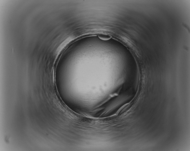 X0000101661275200807241409