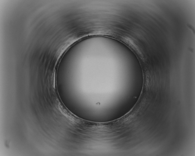 X0000101661276200807241409