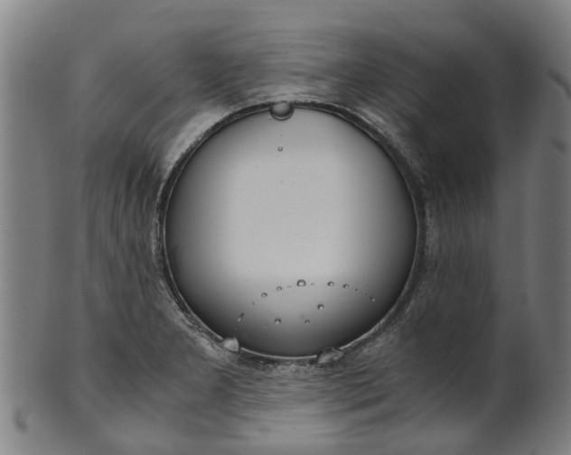 X0000101661277200807241409