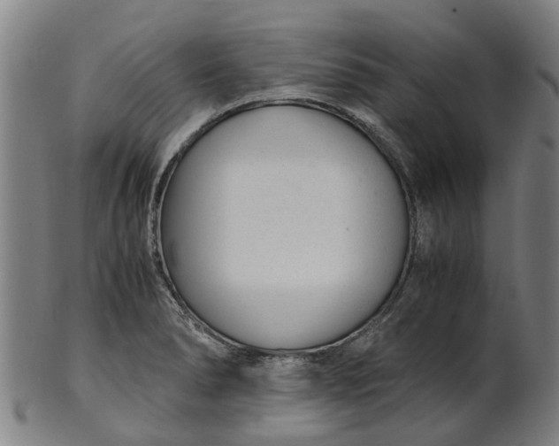 X0000101661278200807241409