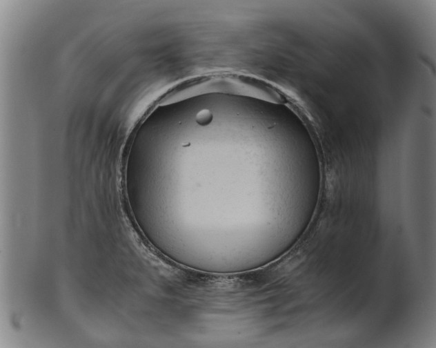 X0000101661279200807241409