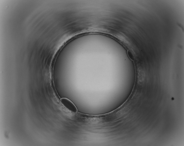 X0000101661280200807241409