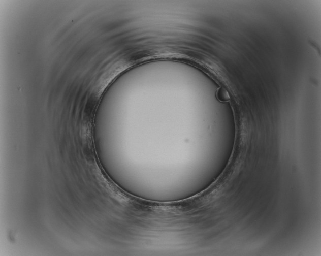 X0000101661281200807241409