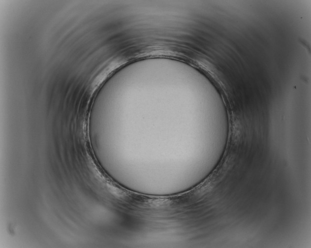 X0000101661282200807241409