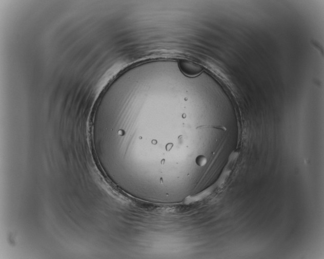 X0000101661283200807241409