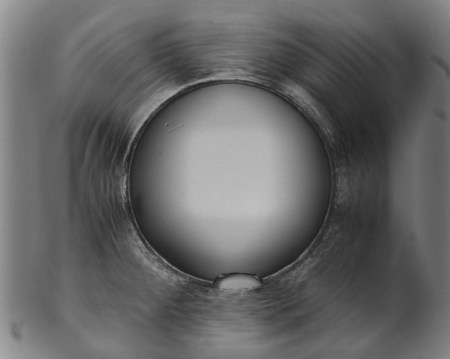 X0000101661284200807241409