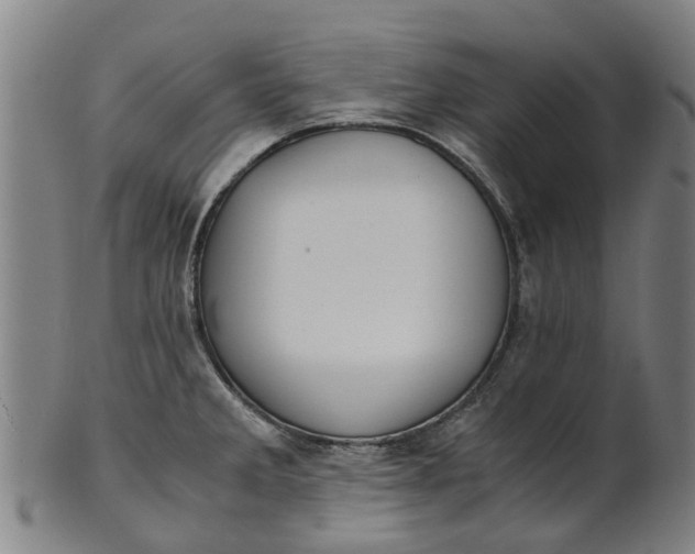 X0000101661285200807241409