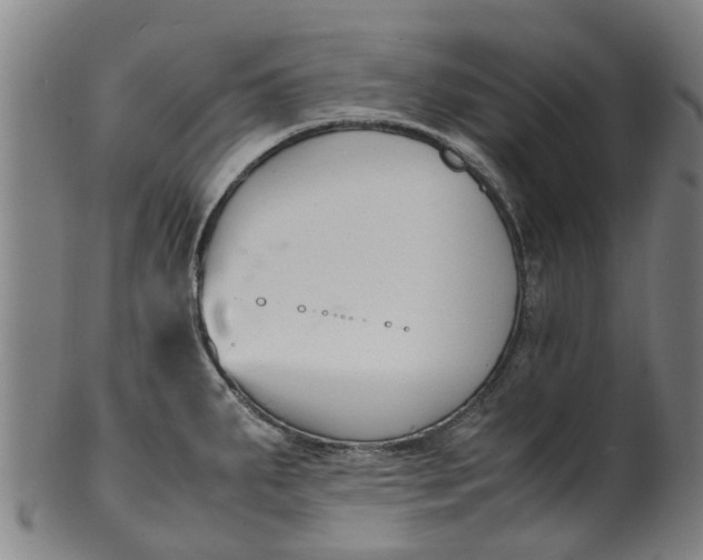 X0000101661287200807241409