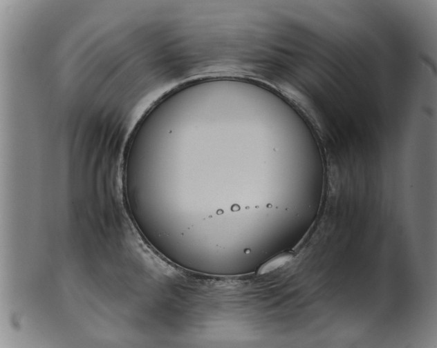 X0000101661288200807241409