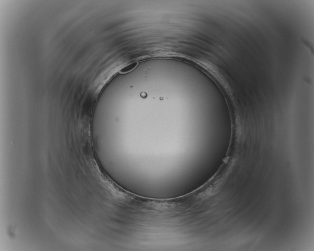 X0000101661289200807241409