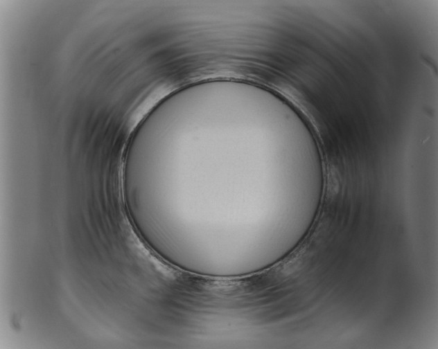 X0000101661290200807241409