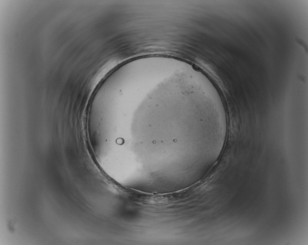 X0000101661291200807241409