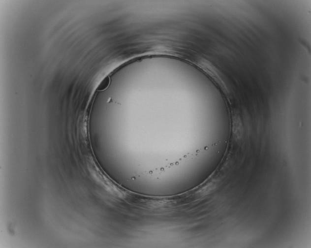 X0000101661292200807241409