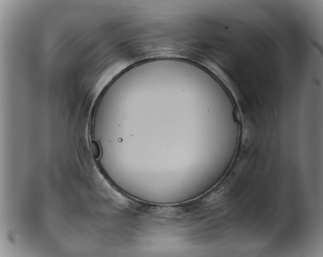 X0000101661293200807241409