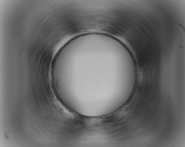 X0000101661294200807241409