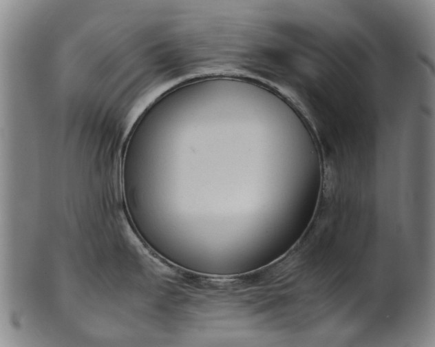 X0000101661295200807241409