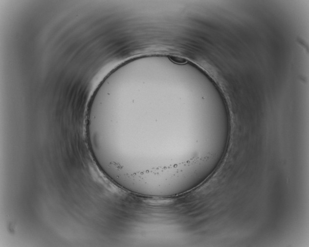 X0000101661296200807241409