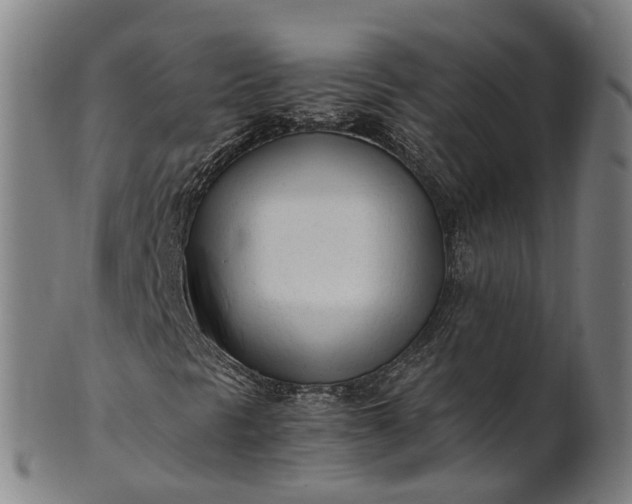 X0000101661297200807241408