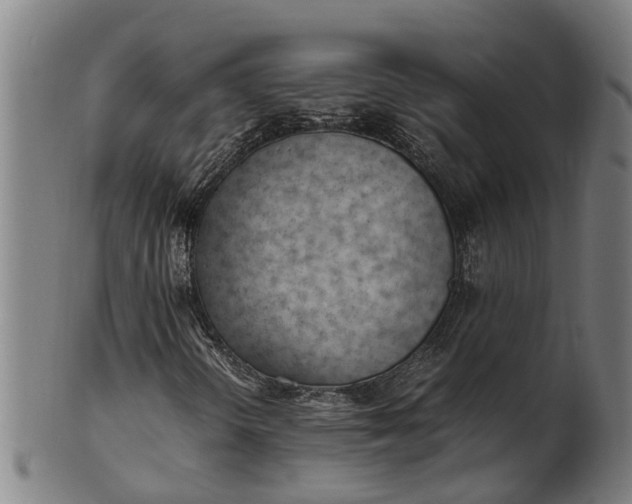 X0000101661298200807241408