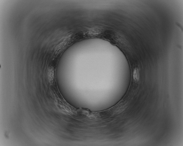 X0000101661299200807241408