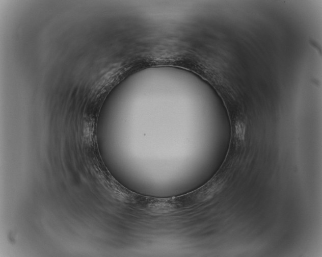 X0000101661300200807241408