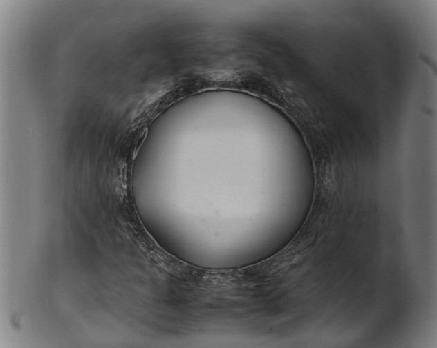 X0000101661301200807241408