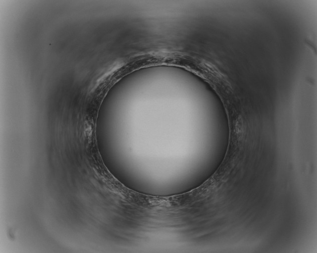 X0000101661302200807241408