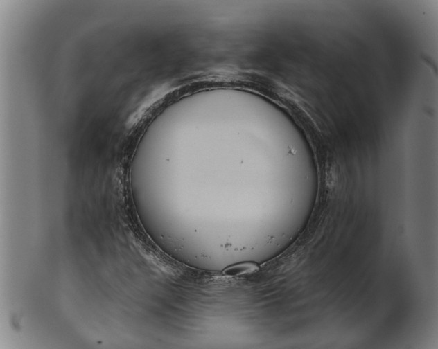 X0000101661304200807241408