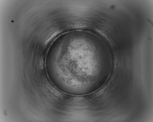 X0000101661306200807241408