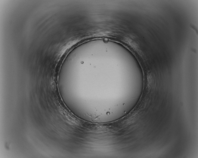 X0000101661308200807241408