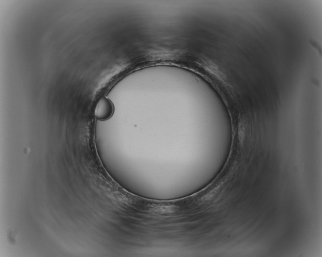 X0000101661309200807241409