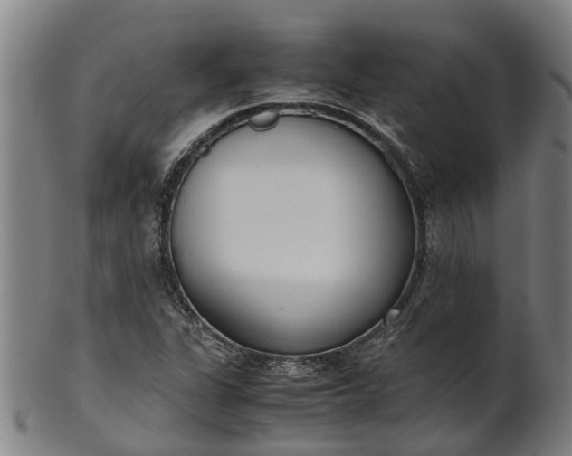 X0000101661311200807241409