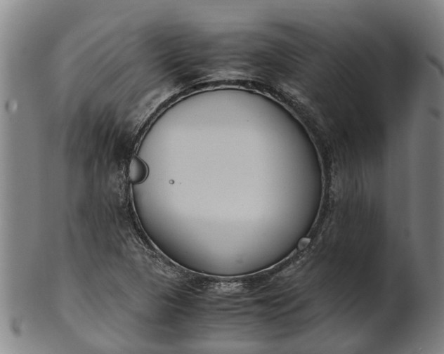 X0000101661313200807241409