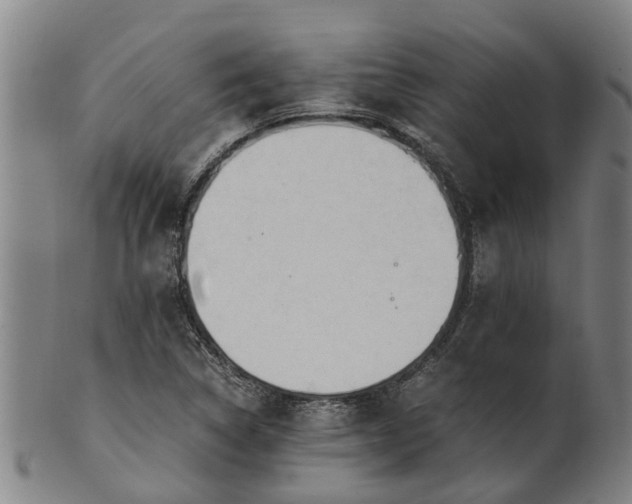 X0000101661314200807241409