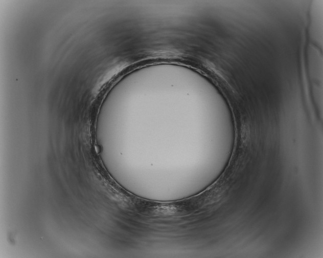 X0000101661315200807241409