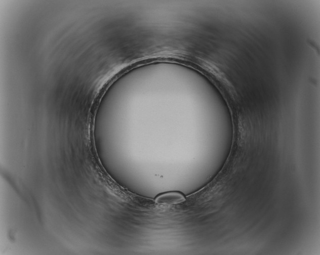 X0000101661316200807241409